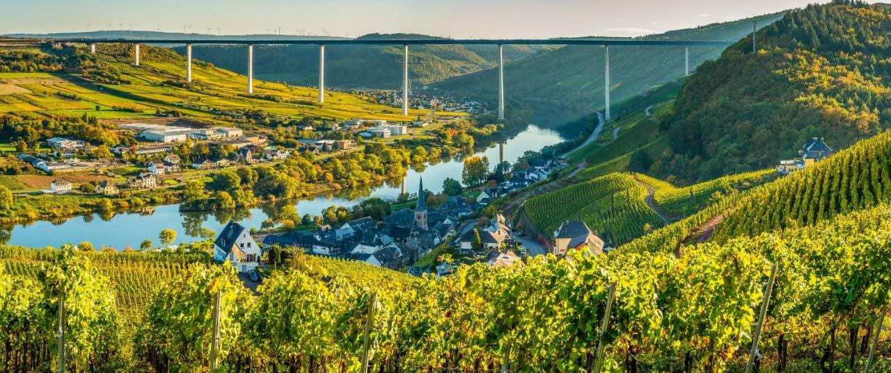 Ferienhaus Am Moselsteig Ürzig المظهر الخارجي الصورة